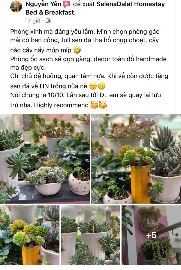 Selena Dalat Homestay Eksteriør billede